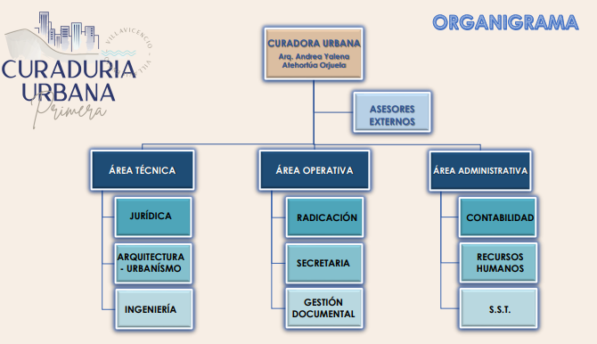 ORGANIGRAMA1